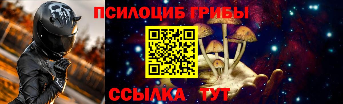 Псилоцибиновые грибы Psilocybe  Вход с VPN  цены наркотик  Нижнекамск 